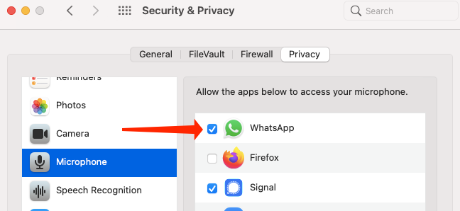 Предоставление микрофонного доступа к WhatsApp в macOS Big Sur.
